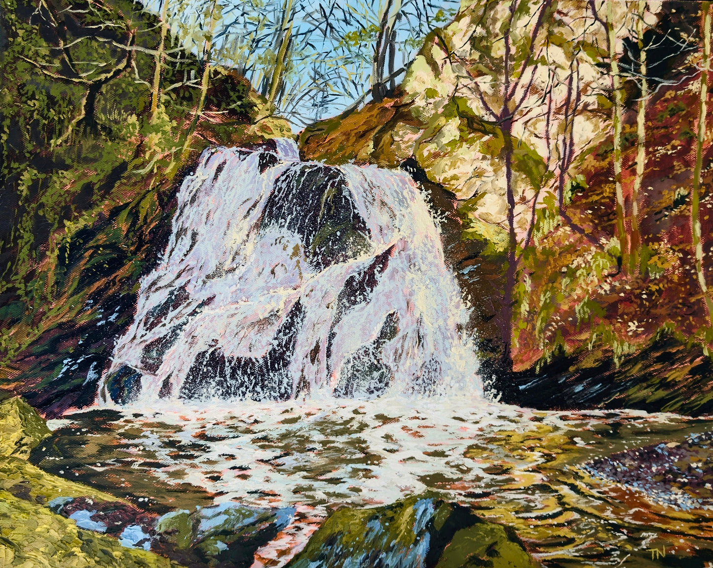 Fairy Glen, Rosemarkie A4 print