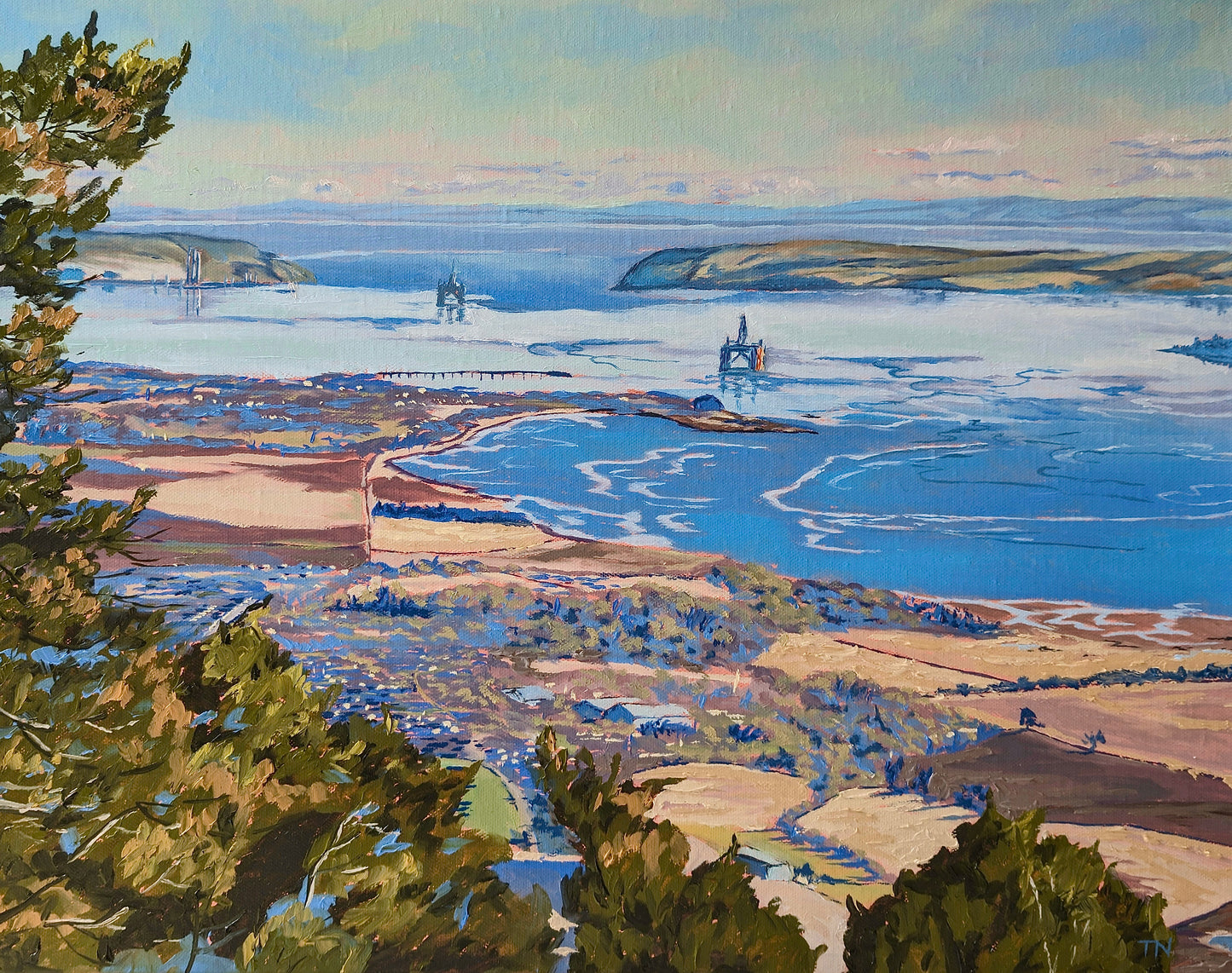 Cromarty Firth From Fyrish