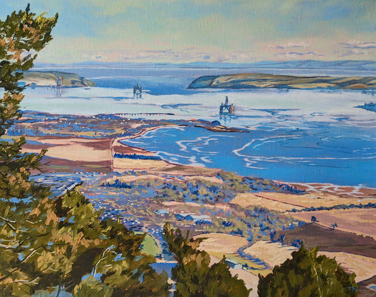 Cromarty Firth From Fyrish