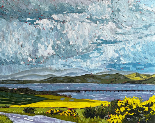 Late Spring, Cromarty Bridge