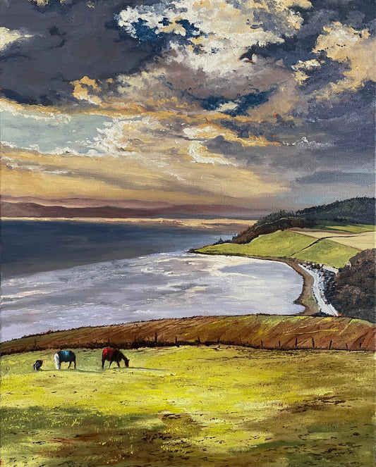 Evening Light Over Avoch
