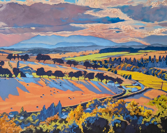 From Avoch To The West A4 art print